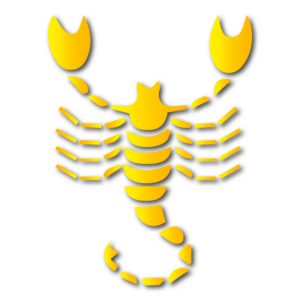 Viruchigam